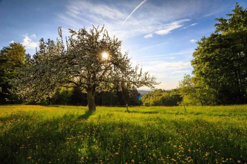 Frühling