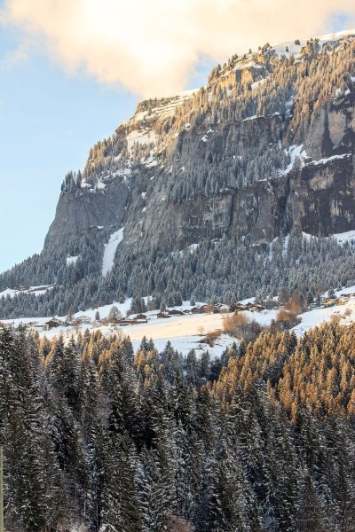 Oberhalb von Flims